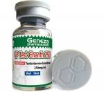 GP Test Enanth 250 mg